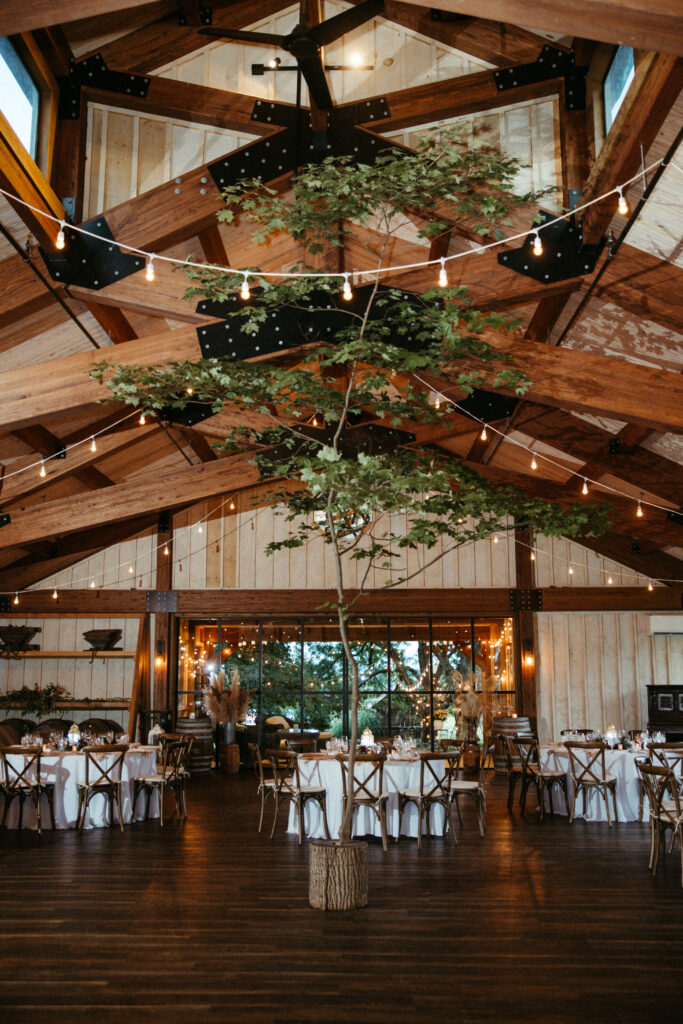 Reception Decor with Living Tree Branches: Rustic charm comes alive with living tree branches sourced from the property, adding authenticity to the reception decor.