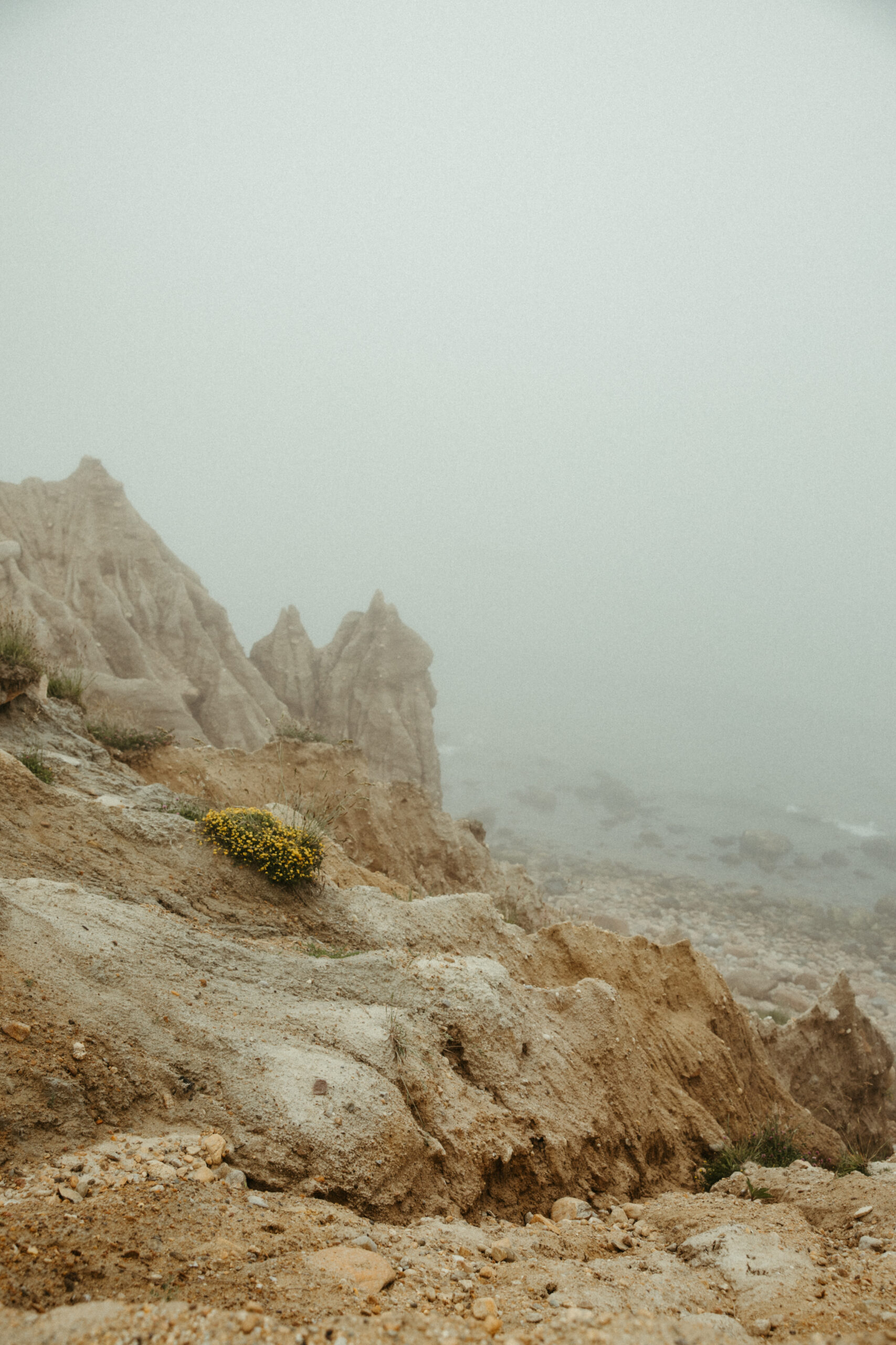 Soft fog drapes over the cliffs at Camp Hero, creating a dreamlike atmosphere before the ceremony.