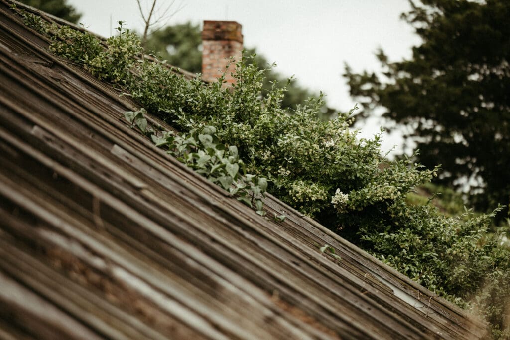 Ivy-covered barn roof and rustic details at Stone Acres Farm, a coastal Connecticut wedding venue